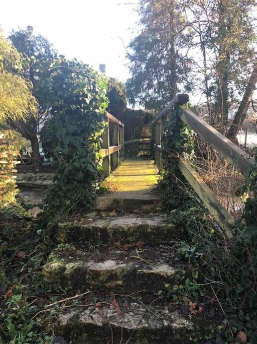 Eco-Friendly Dorset Cottage With Spa Set In Heart Of Countryside Sydling St Nicholas Esterno foto